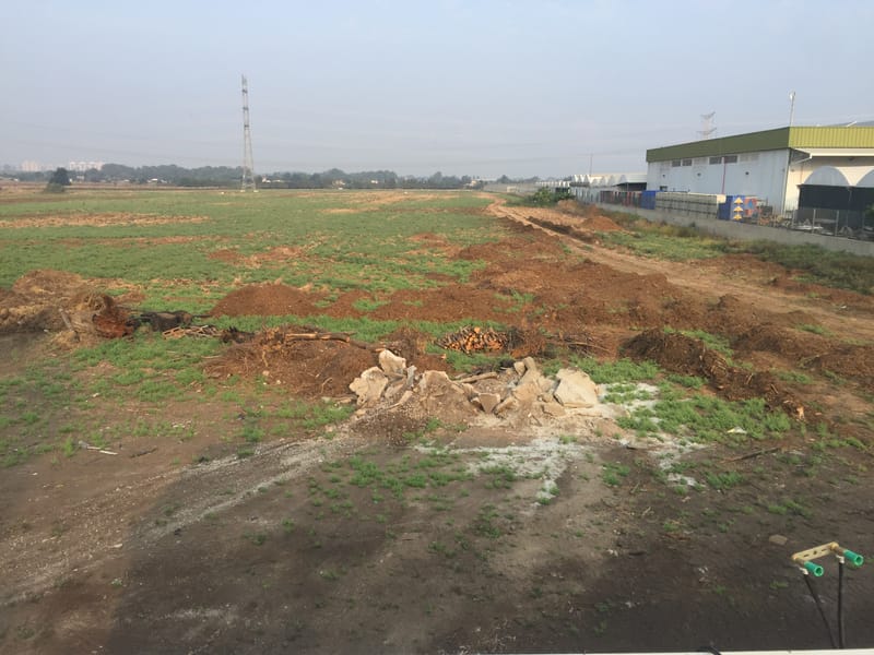 ריפוי הקרקע