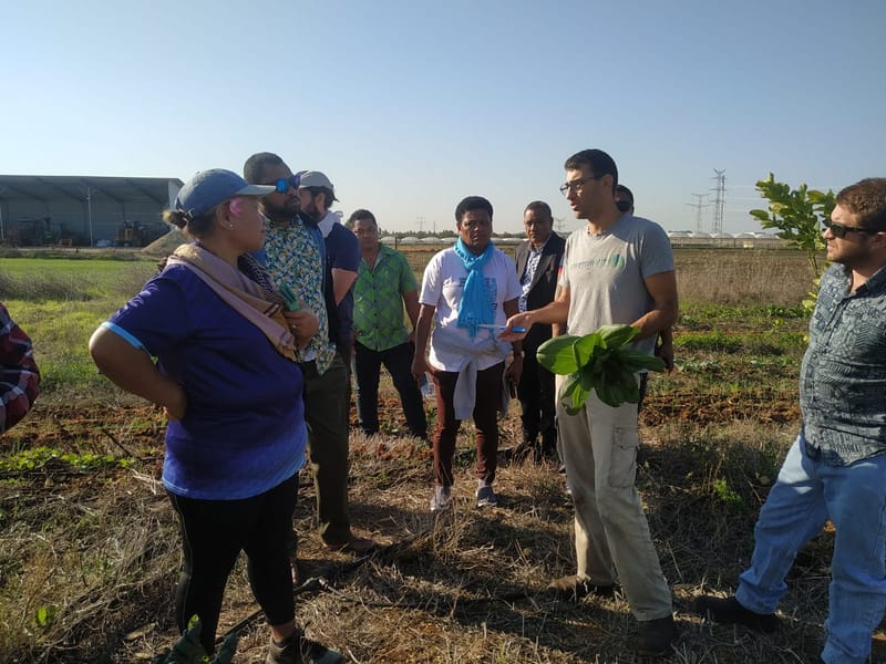 הכשרות מקצועיות