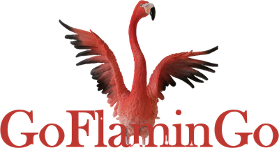 GoFlaminGo