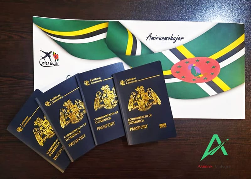 تحویل پاسپورت به مشتریان عزیز