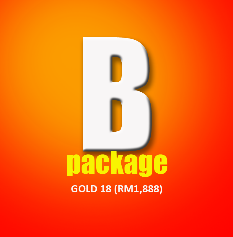 Package B