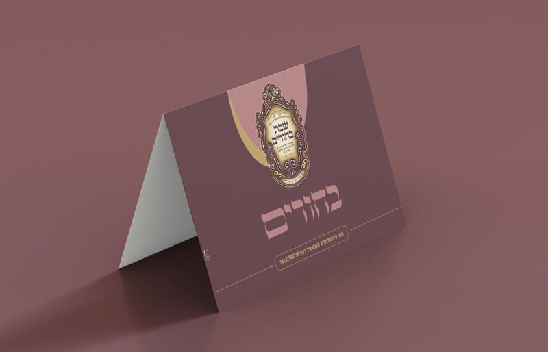 שבת בחורים עם הרב בידרמן במירון