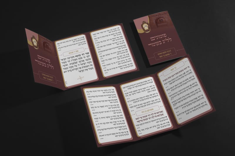 שבת בחורים עם הרב בידרמן במירון