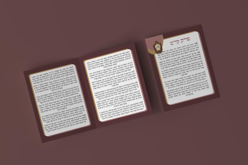 שבת בחורים עם הרב בידרמן במירון