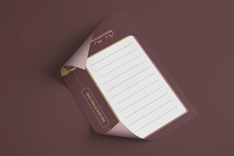 שבת בחורים עם הרב בידרמן במירון