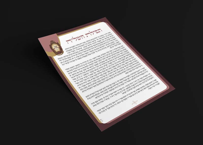 שבת בחורים עם הרב בידרמן במירון