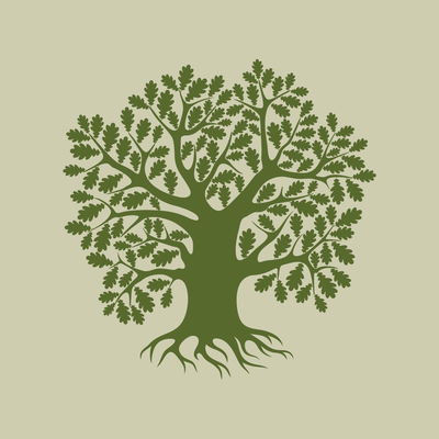 Projeto Empoderando Elas