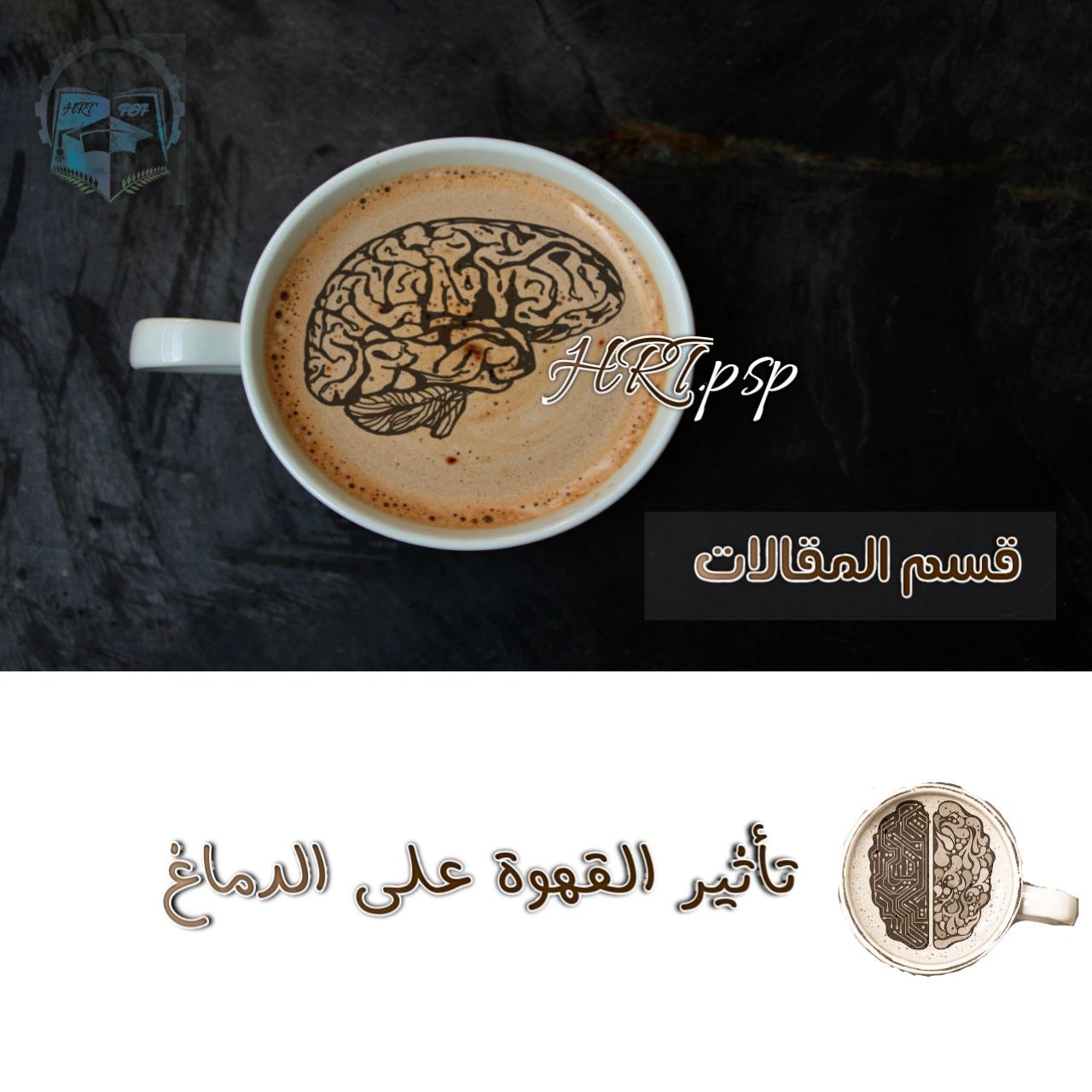 *_Coffee and the Brain_*....🧠🖇️☕✨