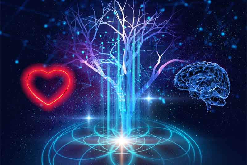 Department of Diagnostics and Diseases