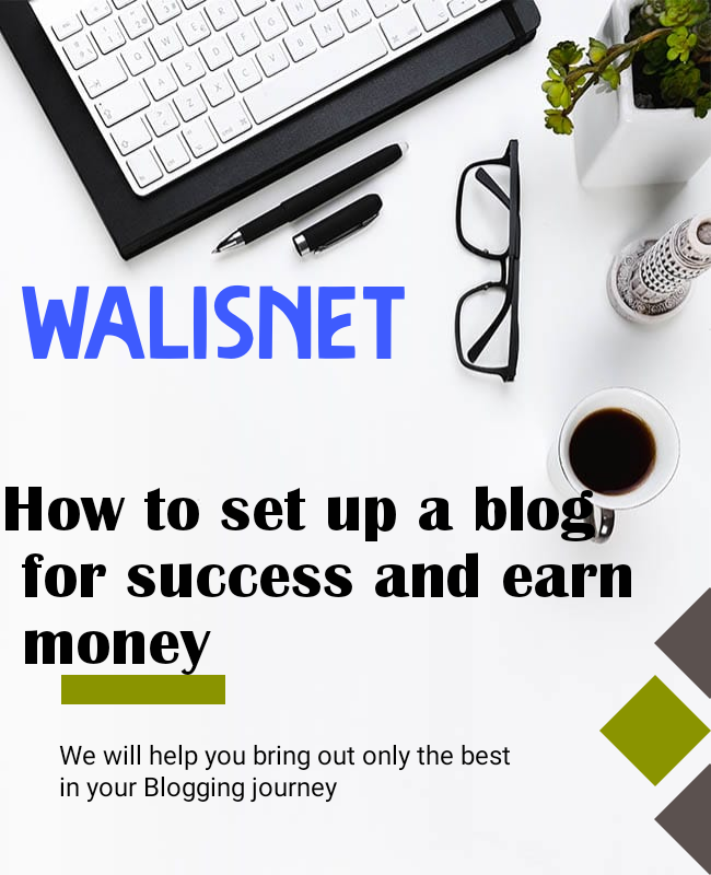 How set up a blog for success and earn money online