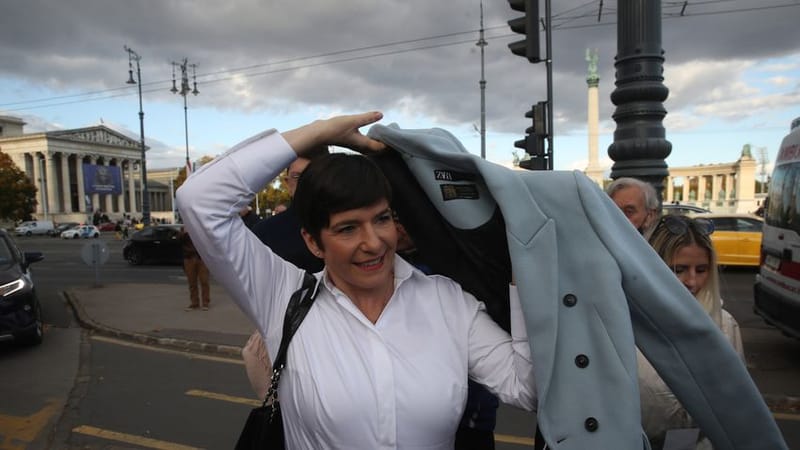 Dobrev Klára Magyarország ellen dolgozik az Európai Parlamentben