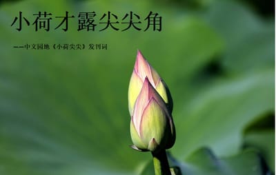 《高度全传媒平台》中文园地