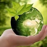 10 regole per rispettare l'ambiente