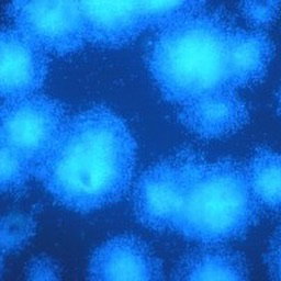 BIOFILM BATTERICI SOTTO LA LENTE DI INGRANDIMENTO DEGLI SCIENZIATI