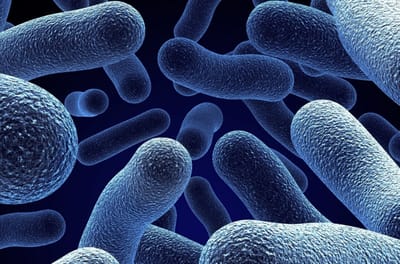 SCOPERTO UN BATTERIO CHE RESISTE A TUTTI GLI ANTIBIOTICI