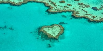 LA BARRIERA CORALLINA È IN VIA DI ESTINZIONE