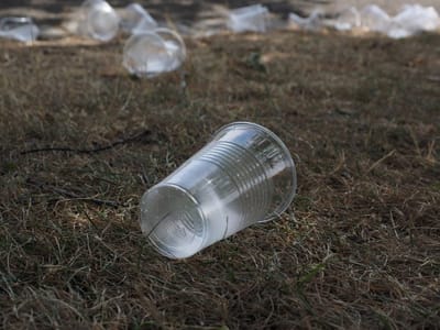 CHI SONO I MAGGIORI PRODUTTORI DI PLASTICA AL MONDO?
