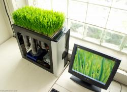 ECOINVENZIONI: IL PC ECOLOGICO CHE DA’ VITA ALLE PIANTE