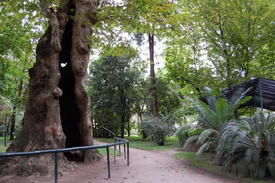 PATRIMONI UNESCO: 1997, L’ORTO BOTANICO DI PADOVA