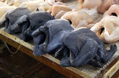 Ayam Cemani Meat image