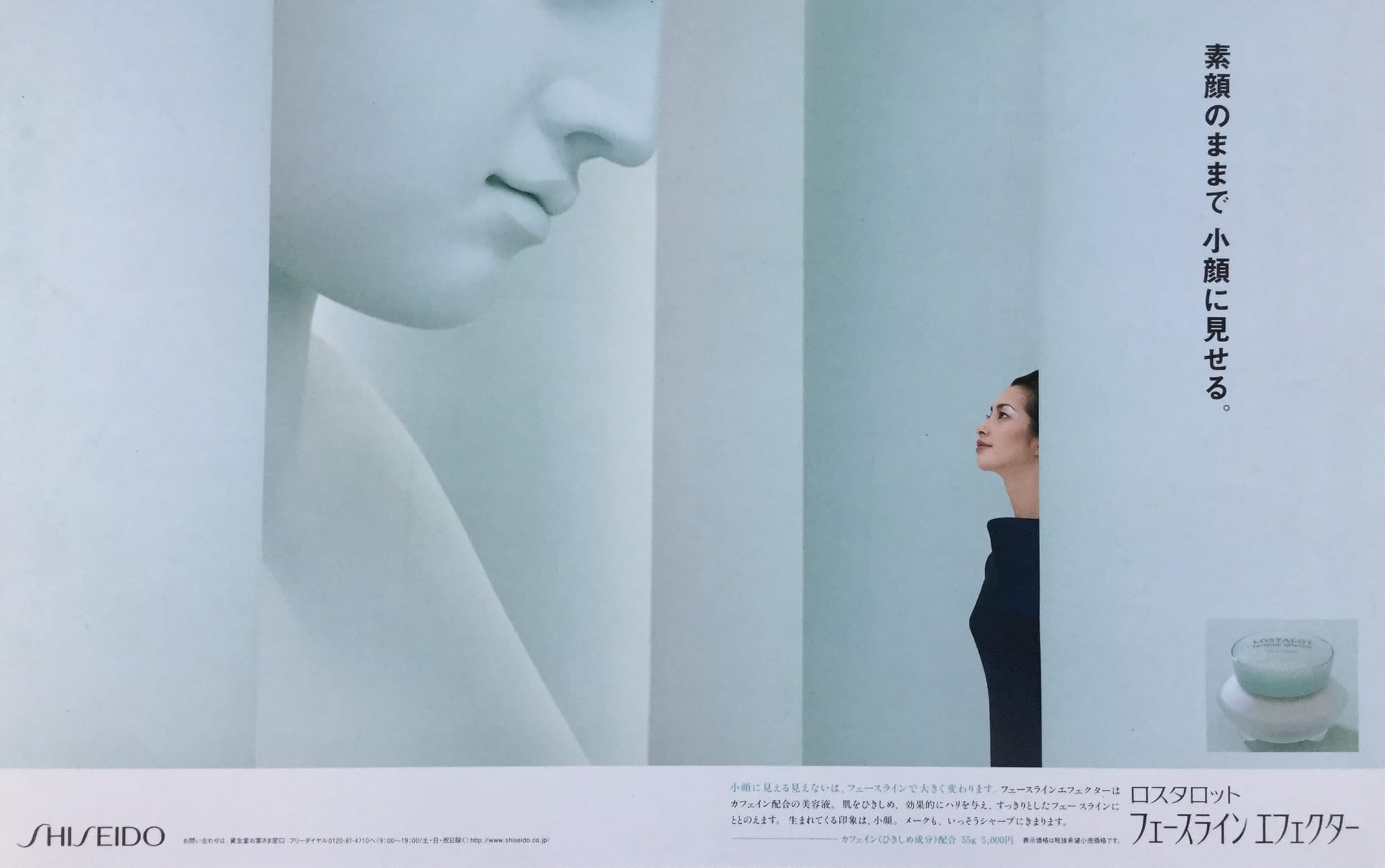 【SHISEIDO ロスタロット】