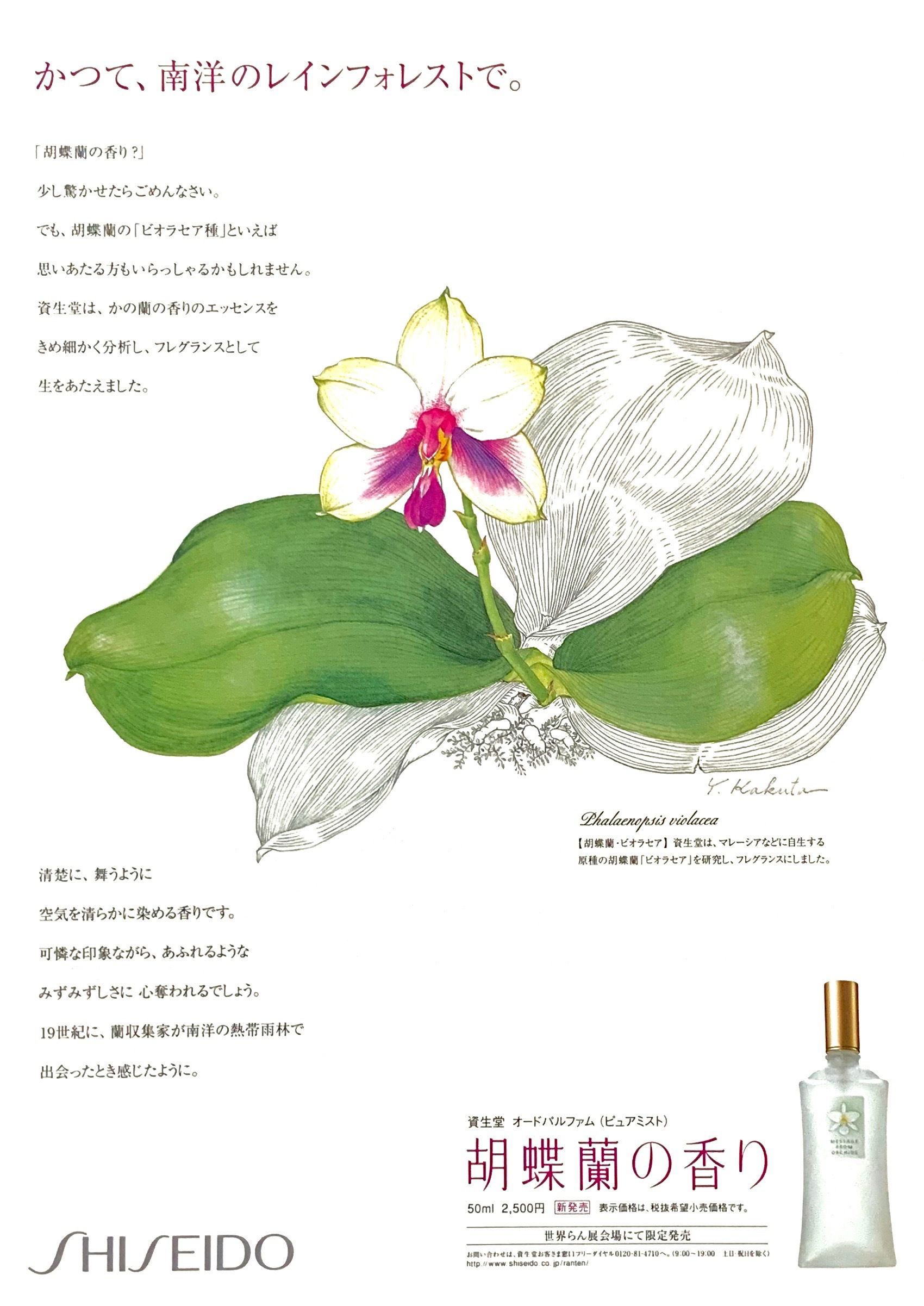 【資生堂　香水　Perfume】