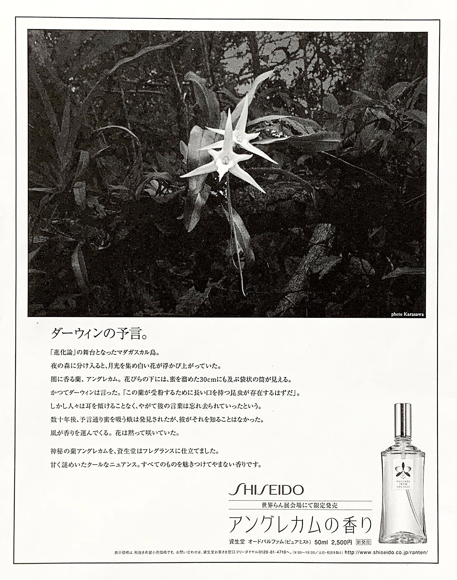 SHISEIDO - BLAVA Design.