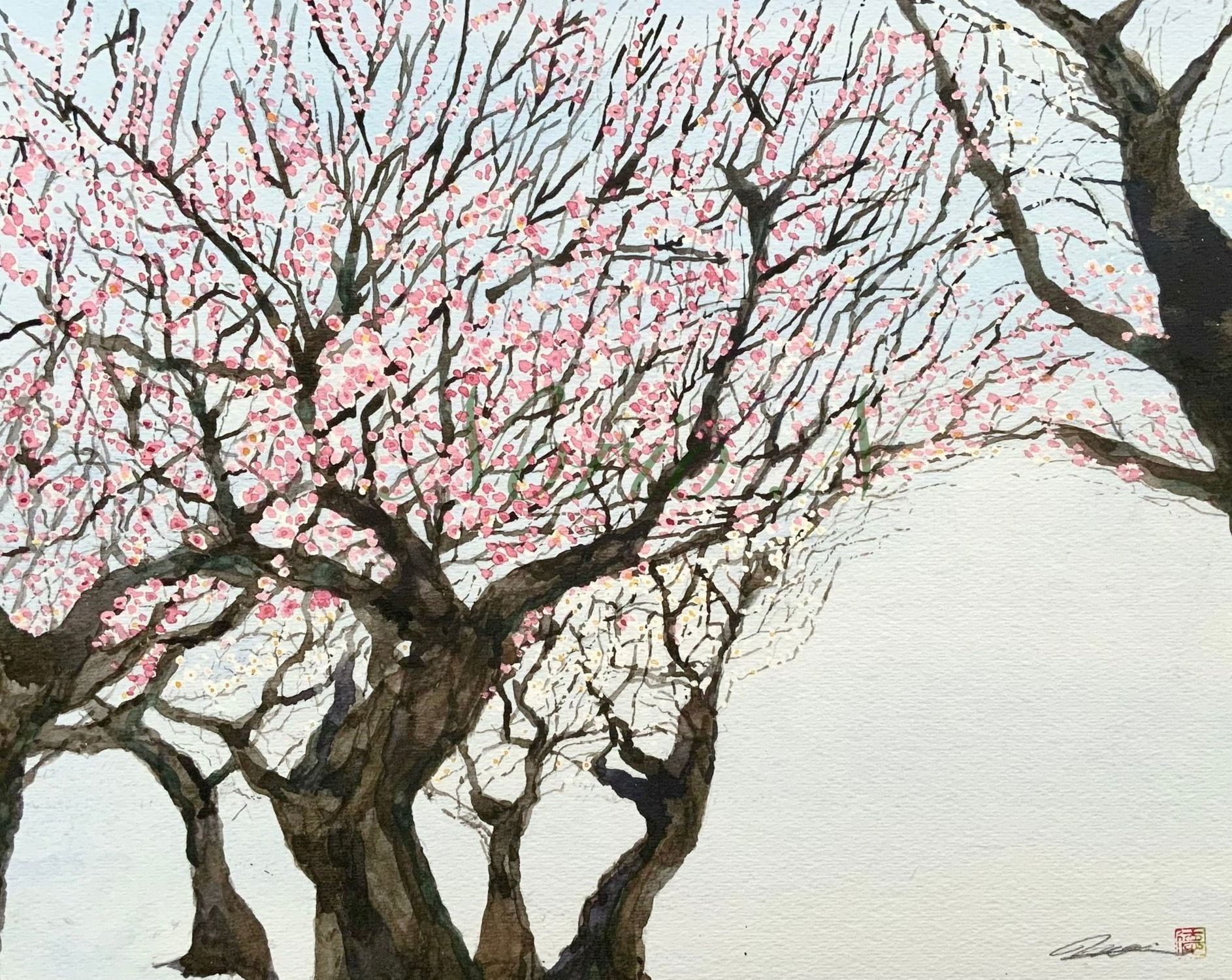 【恵花ー梅の木】