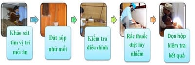 Diệt Mối Tại Quận 3 - TPHCM