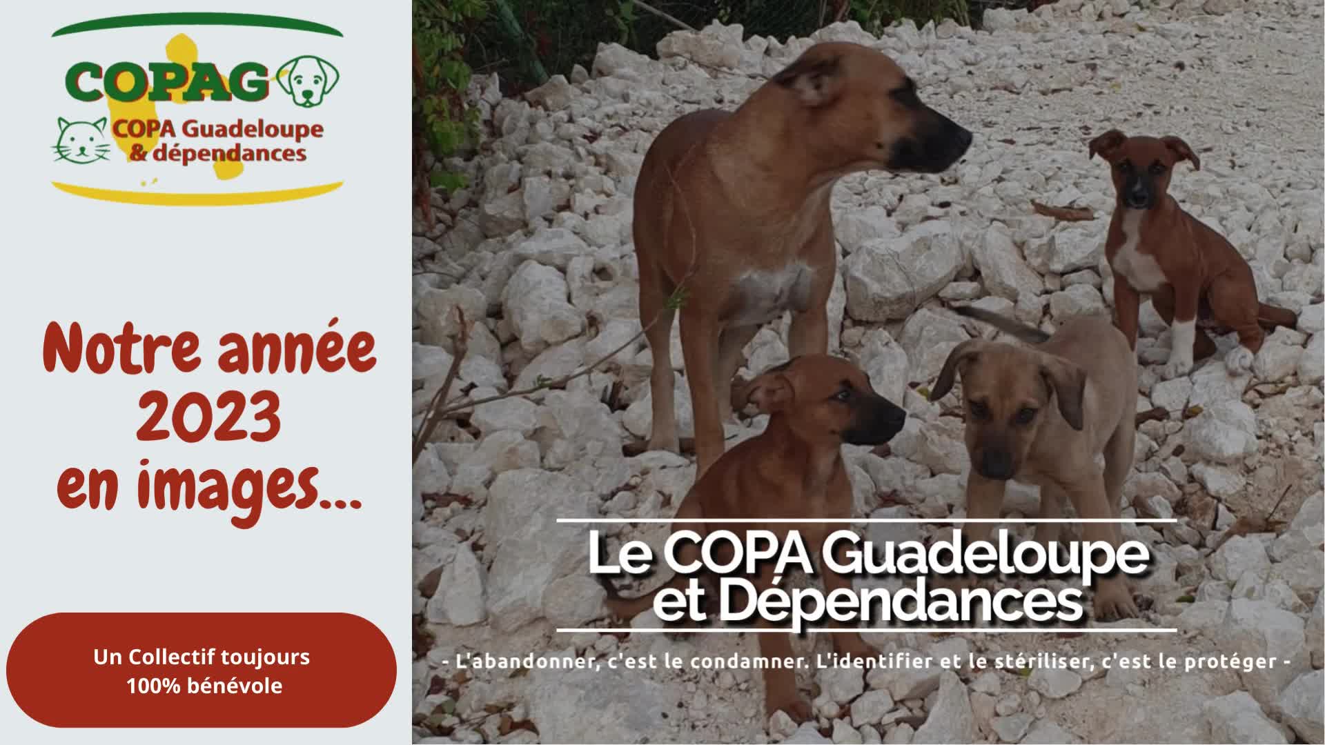 {{trans:68d98b4f54fbd5ead960fd2ecf8f80b9_1}} video thumbnail