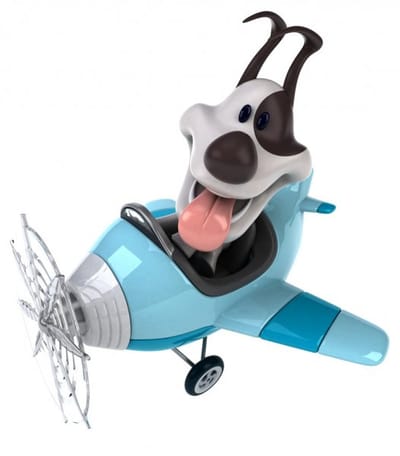 Flete COPA GUADELOUPE DEL 18 DE JUNIO DE 2021