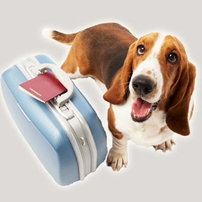 FLETE COPA GUADELOUPE DEL 16 DE JULIO DE 2021