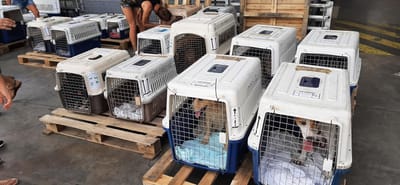 FLETE COPA GUADELOUPE EL 23 Y 30 DE JULIO DE 2021