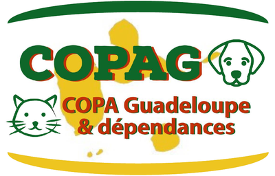 EVALUACIÓN DE LOS RESCATE DE LA COPAG EN EL PRIMER SEMESTRE DE 2022