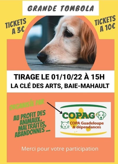 RESULTATS DU TIRAGE DE LA TOMBOLA DU COPAG
