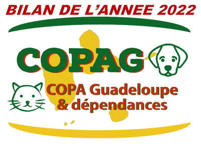 BILAN DE L'ANNEE 2022