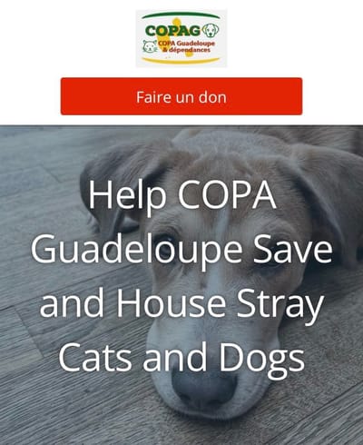 RECAUDACIÓN DE FONDOS EXCEPCIONAL DE NUESTRO PATROCINADOR RALF LITTLE