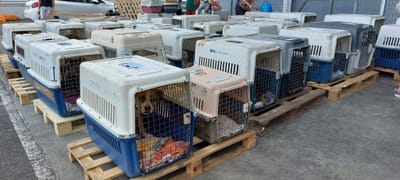 Flete COPAG del 3 de febrero de 2023