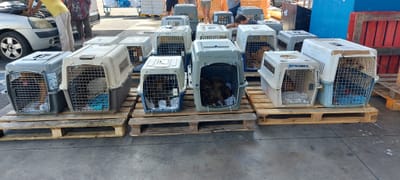 Flete COPAG del 16 de febrero de 2023