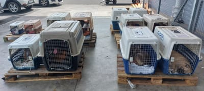 Transporte COPA Guadalupe a partir del 13 de septiembre de 2023