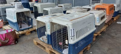 Flete COPAG a partir del 23 de septiembre de 2023