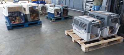 Flete COPAG a partir del 25 de septiembre de 2023