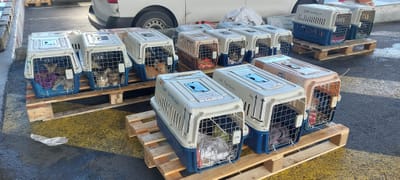 Flete COPAG a partir del 29 de septiembre de 2023