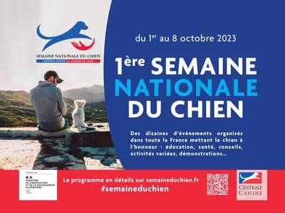 1ÈRE ÉDITION DE LA SEMAINE NATIONALE DU CHIEN