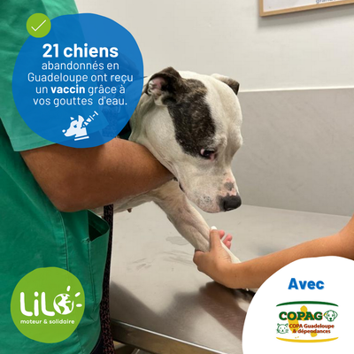 Le COPAG à la Une sur LILO pendant la semaine du 9 octobre 2023