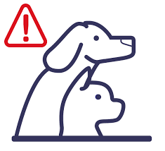 Denunciar un acto de maltrato animal online