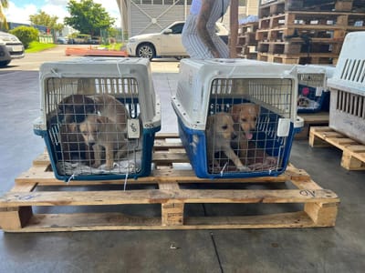 Flete COPAG a partir del 13 de octubre de 2023