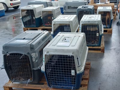 Flete COPAG a partir del 19 de octubre de 2023