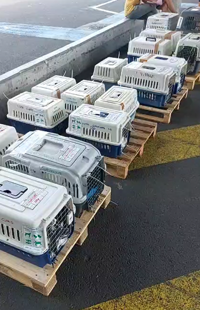 Flete COPAG a partir del 20 de octubre de 2023