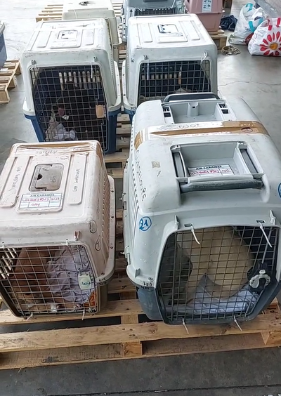 Flete COPAG a partir del 23 de octubre de 2023